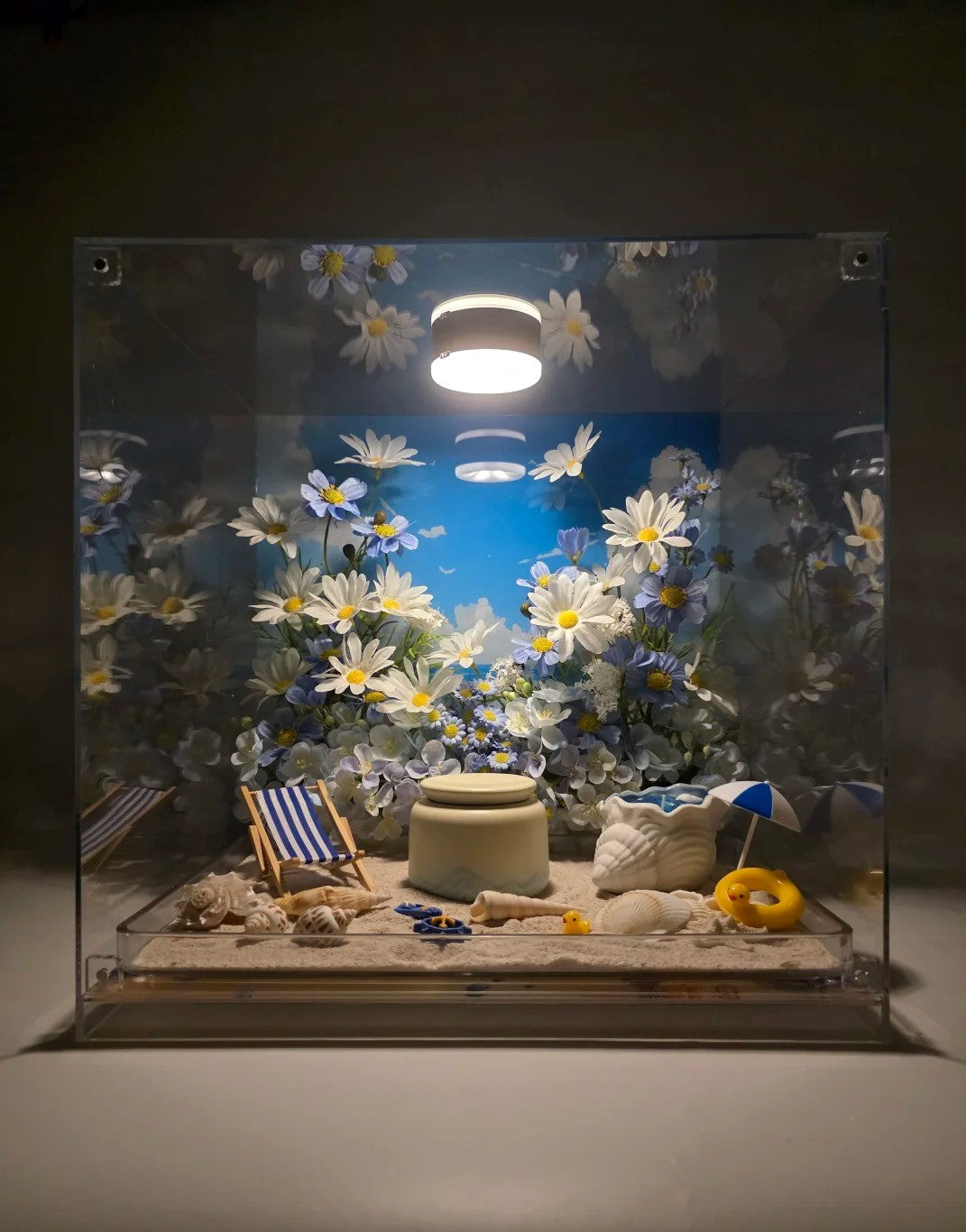 Saying Goodbye to Your Pet | Let a Seaside Memento Box Preserve the Memoir of Your Beloved Seaside Pet
