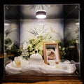 Saying Goodbye to Your Pet | I heard that pets that leave home live in the clouds.