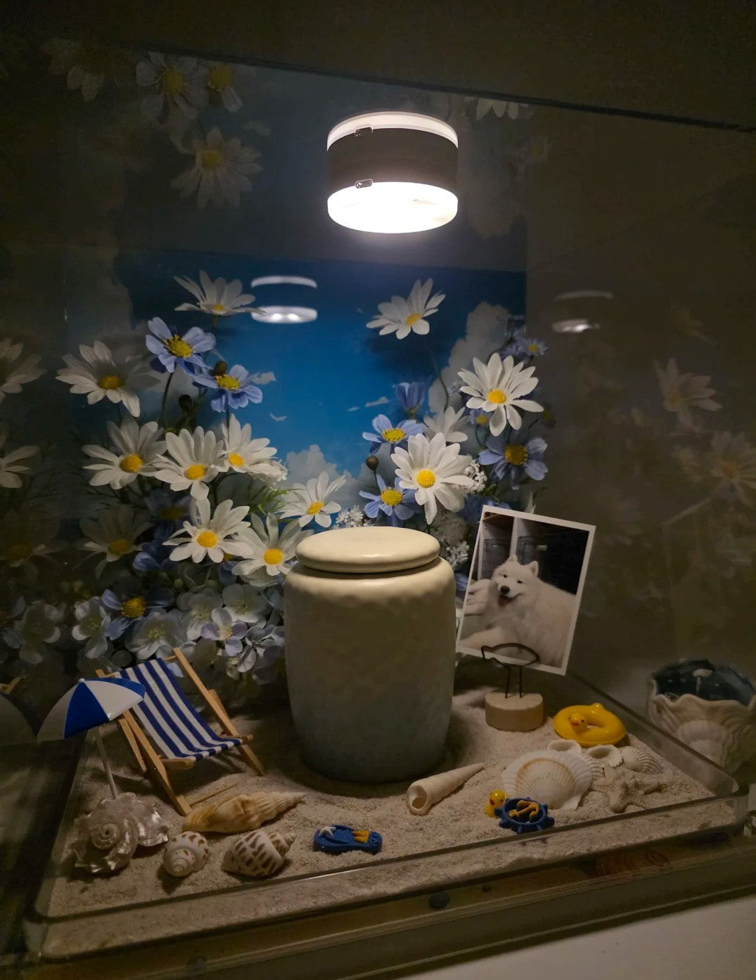 Saying Goodbye to Your Pet | Let a Seaside Memento Box Preserve the Memoir of Your Beloved Seaside Pet