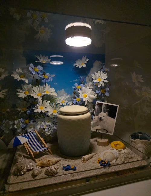 Saying Goodbye to Your Pet | Let a Seaside Memento Box Preserve the Memoir of Your Beloved Seaside Pet