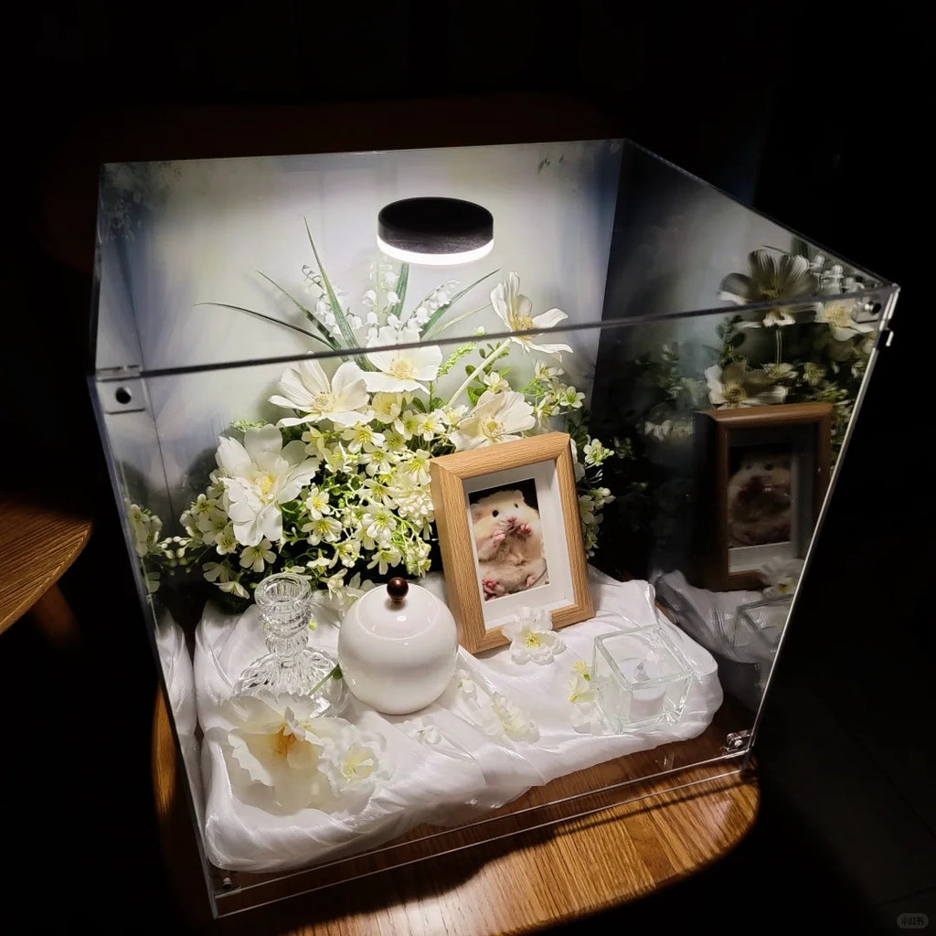 Saying Goodbye to Your Pet | I heard that pets that leave home live in the clouds.