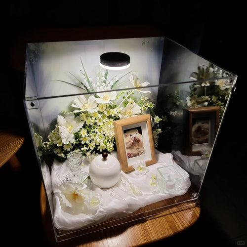 Saying Goodbye to Your Pet | I heard that pets that leave home live in the clouds.