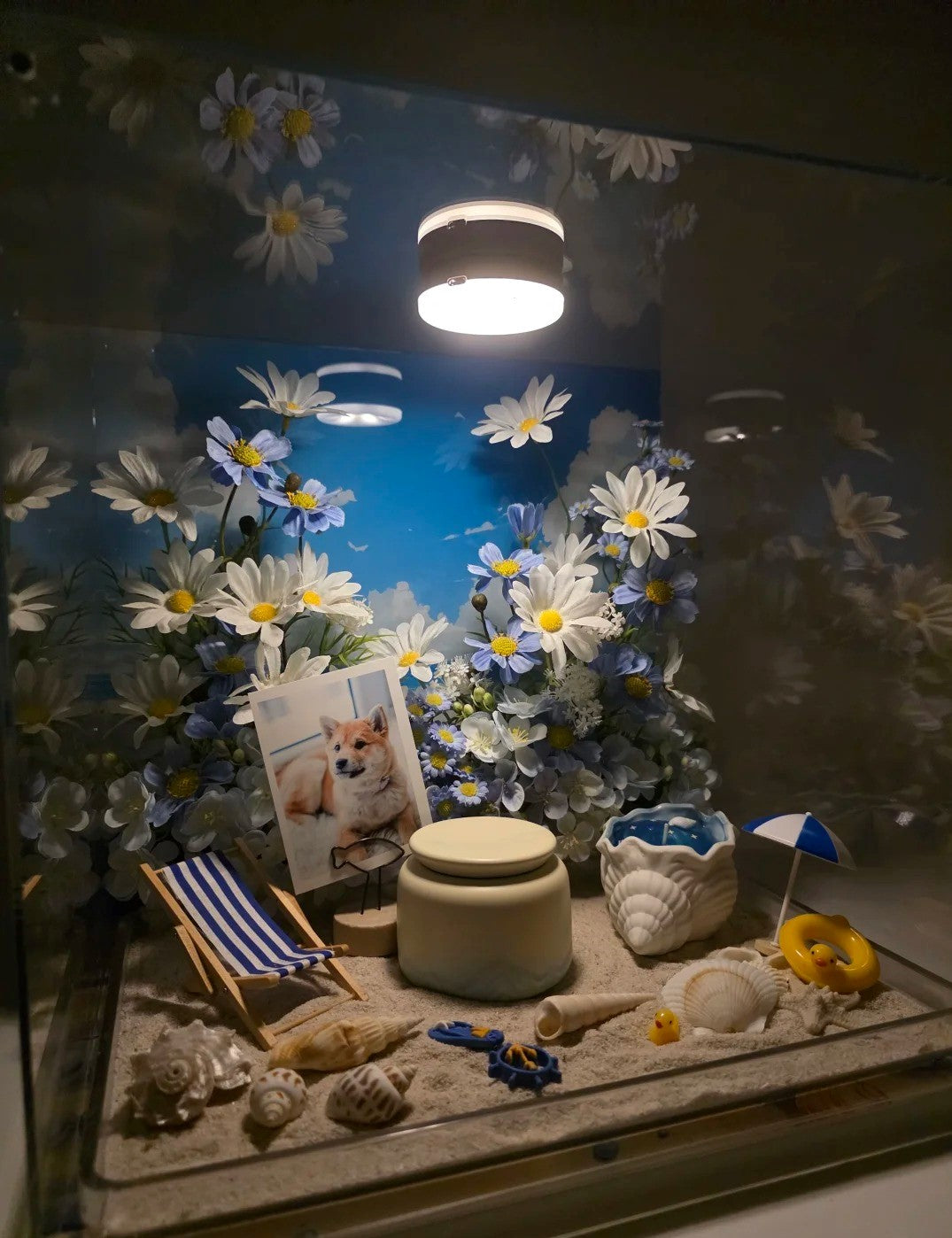 Saying Goodbye to Your Pet | Let a Seaside Memento Box Preserve the Memoir of Your Beloved Seaside Pet