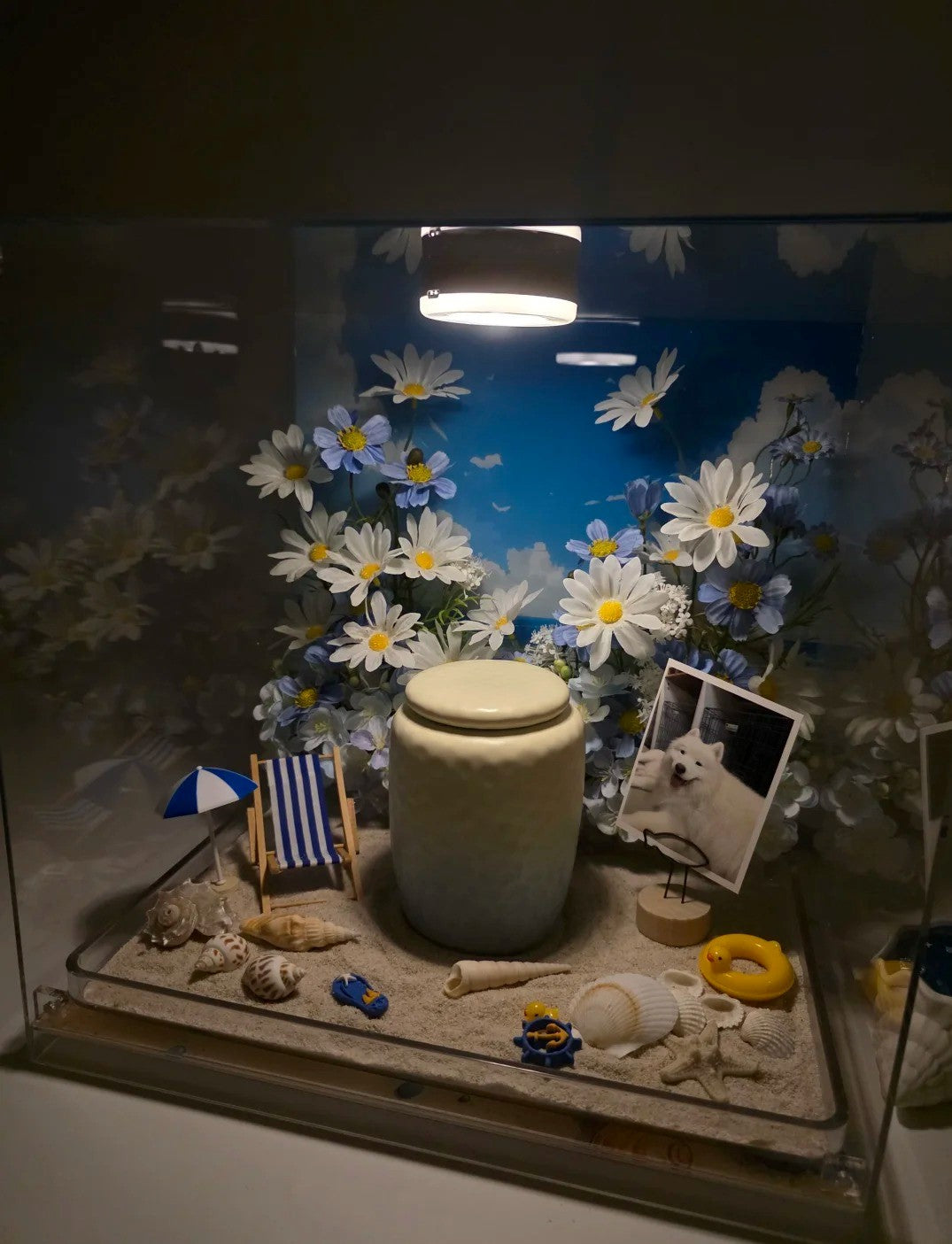 Saying Goodbye to Your Pet | Let a Seaside Memento Box Preserve the Memoir of Your Beloved Seaside Pet
